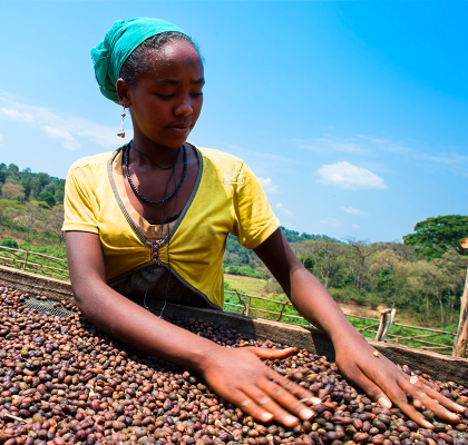 <p>     </p>
<p> </p>
