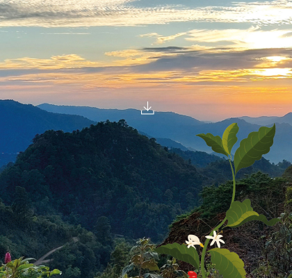 <p>     </p>
<p> </p>
