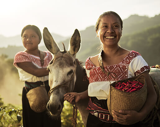 06_img-4_steve-mc-curry