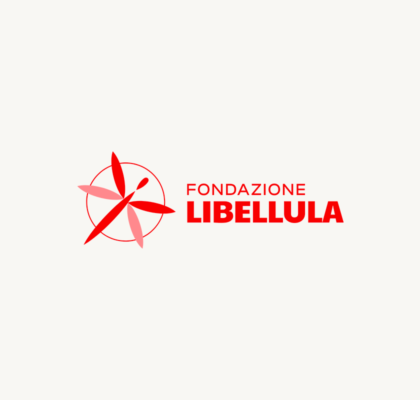 <p style="text-align: center;"><b>Fondazione Libellula</b></p>