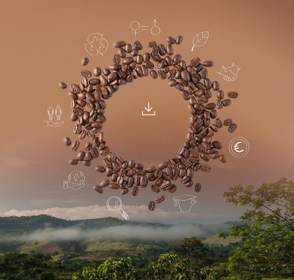 <p>     </p>
<p> </p>
